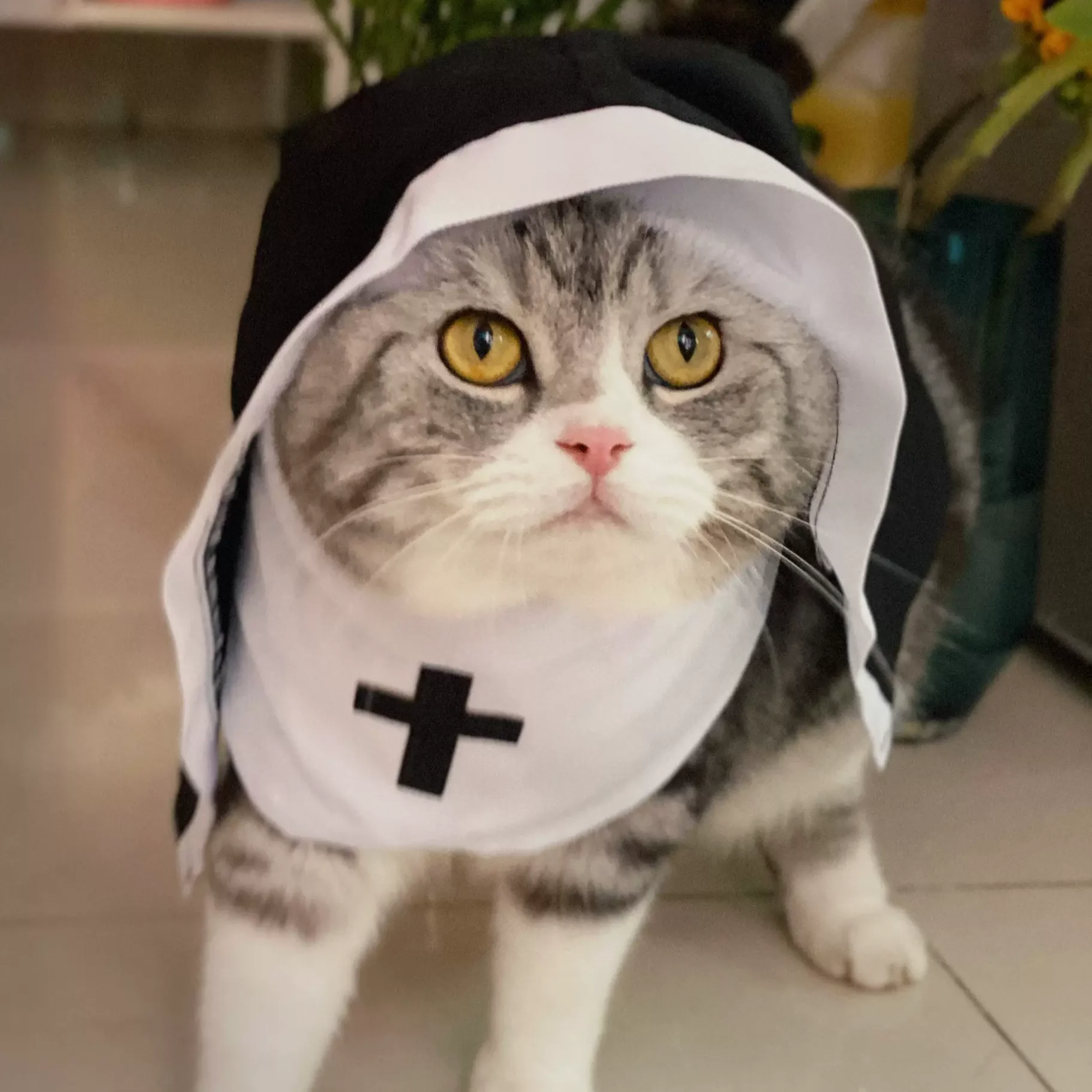 Halloween Pet Costume Nun Cat Hoodie Pet Nun Costume Hooded Scarf Halloween Funny Cat Transformation Halloween Dog Cat Costumes