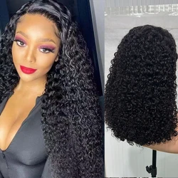 12A Double Drawn Burmese Curly 13X4 Lace Frontal Wig 250 Density Kinky Curly 13x4 Human Hair Glueless Pre Plucked Lace Front Wig