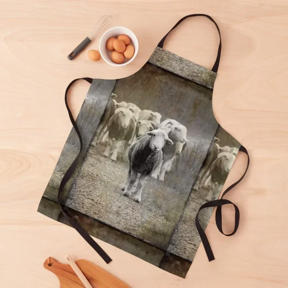 

H E R D W I C K Apron men's barbecue professional hairdresser Woman Kitchen Kitchen Tools Apron