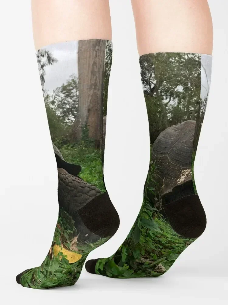 Galapagos Tortoise Socks hiking Lots Rugby Socks Male Women's