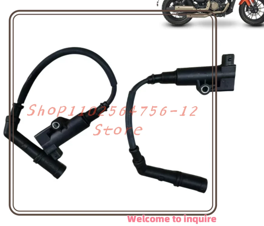 

Motorcycle Ignition Coil Suitable for Qianjiang Flash 300 350 Flash 300-12 High-voltage Package Spark Plug Ignition Device