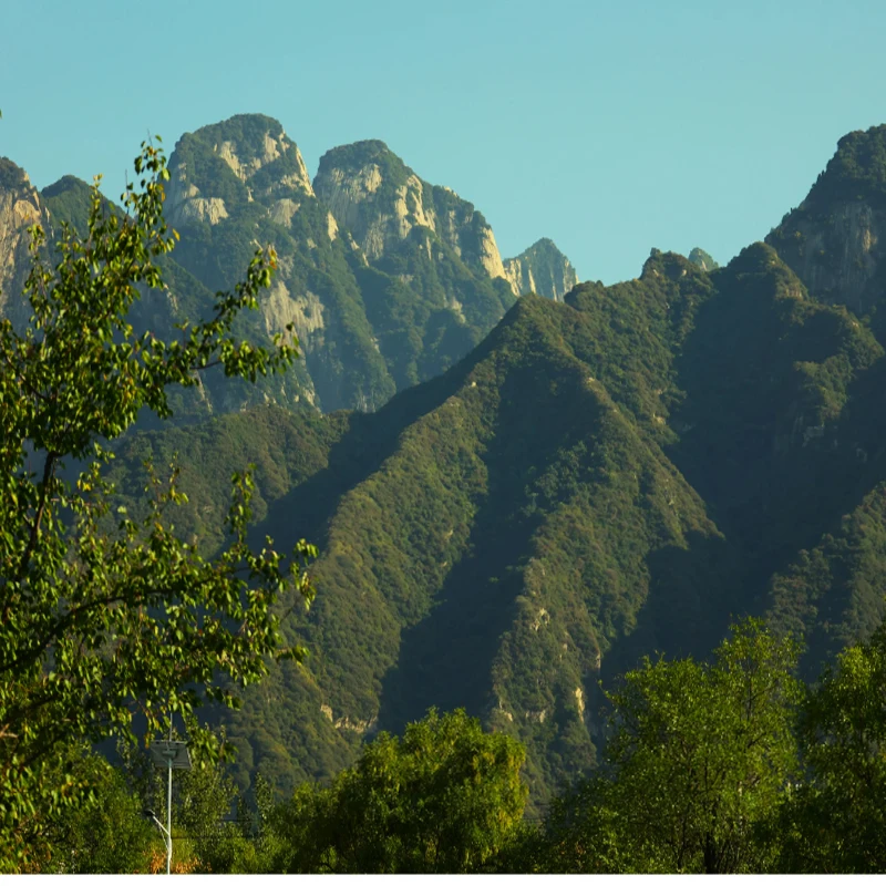 

T-Hobby F60A 8S 4IN1 20X20 Мини-гоночный FPV-дрон ESC Высокий KV-двигатель с длительным сроком службы Lipo Батарея Удаленная функция Аксессуары для дронов