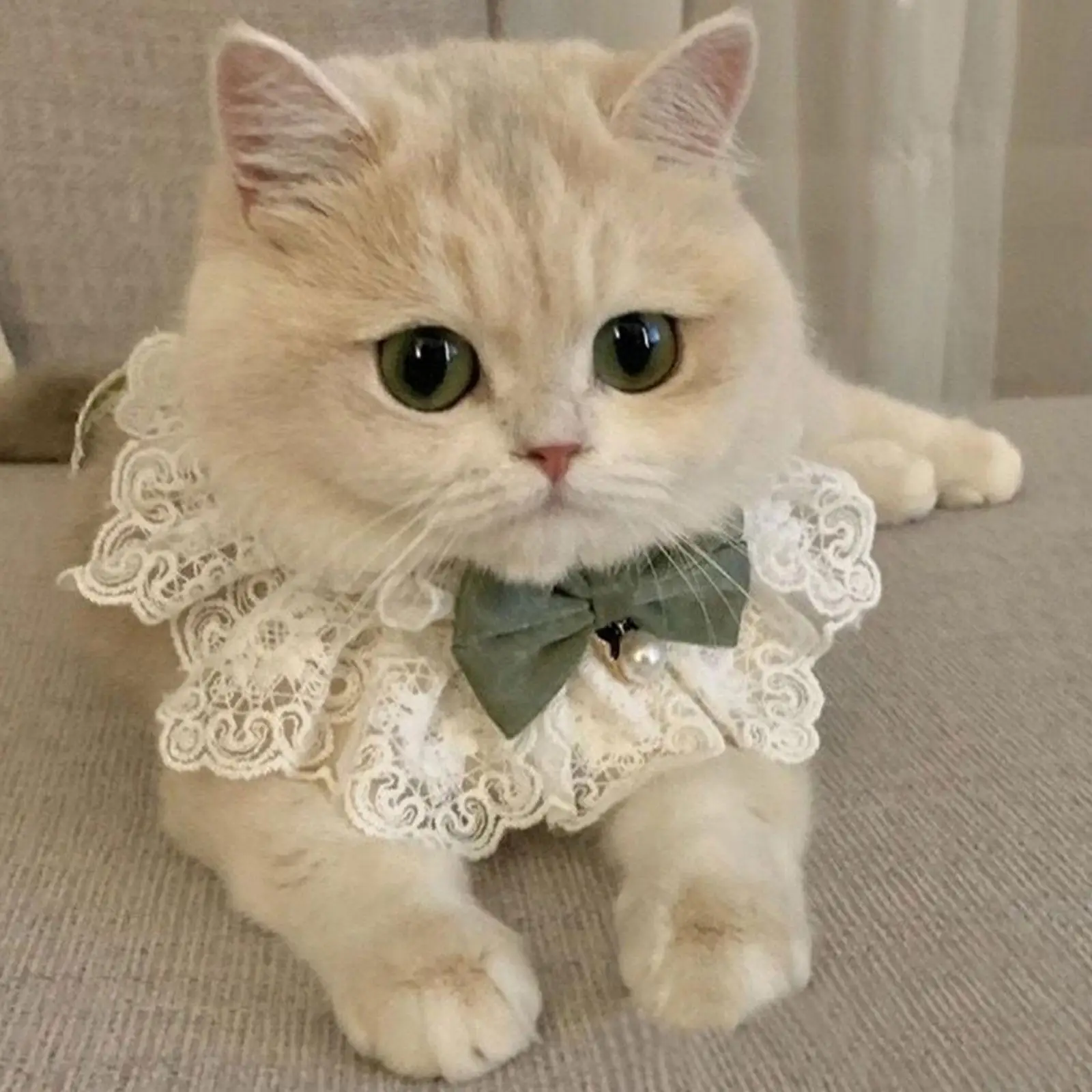 Collar ajustable para gatos y mascotas, babero para cachorros, bufanda para fiesta de gatos, vestido de vacaciones, cuello de encaje para gatitos para caminar al aire libre