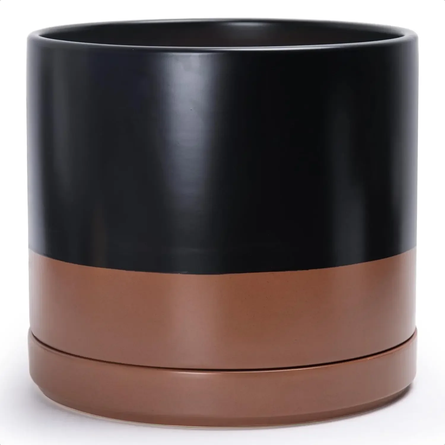 D'vine Dev 14 Inch …