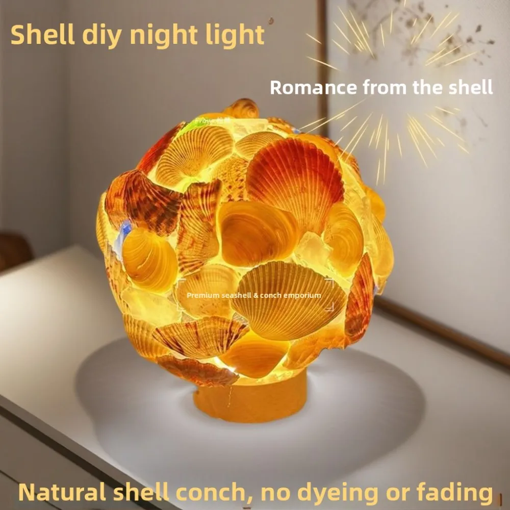 Natural Conch and Sea Urchin Shell Mini Night Light for Kids Birthday Gift DIY Craft Decoration Creative Home Ornament