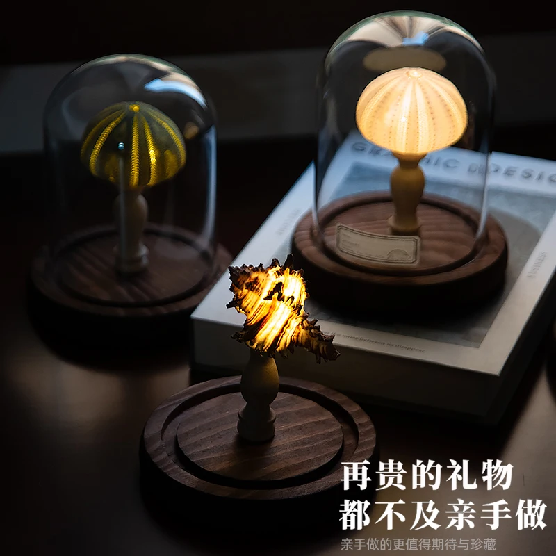 DIY handmade birthday gift girls give boys antique sea urchin lamp conch night light decorative ornament