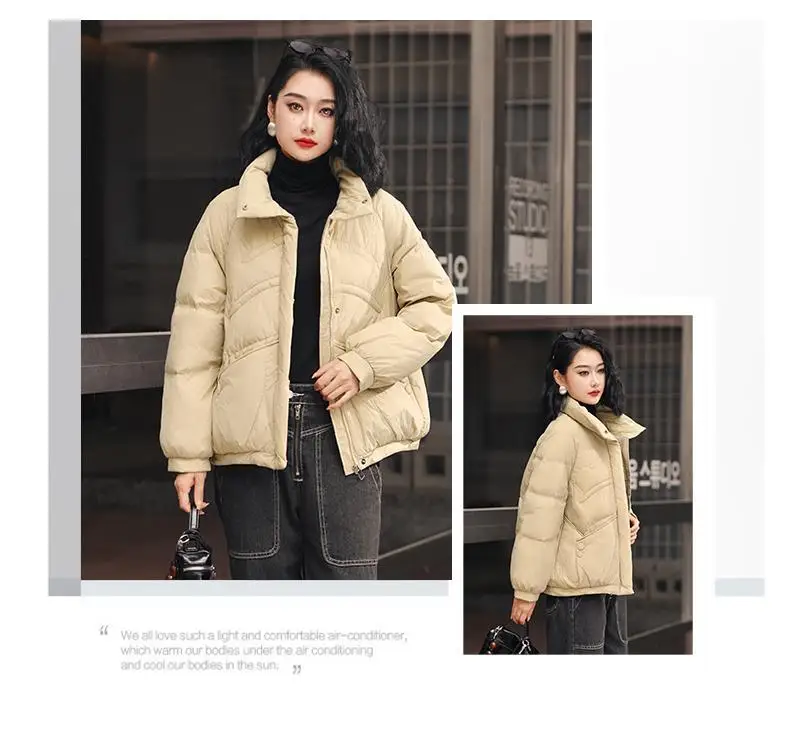 2025 moda Otoño/Invierno nueva chaqueta de plumón para mujer Chaqueta corta con cuello levantado para ir al trabajo