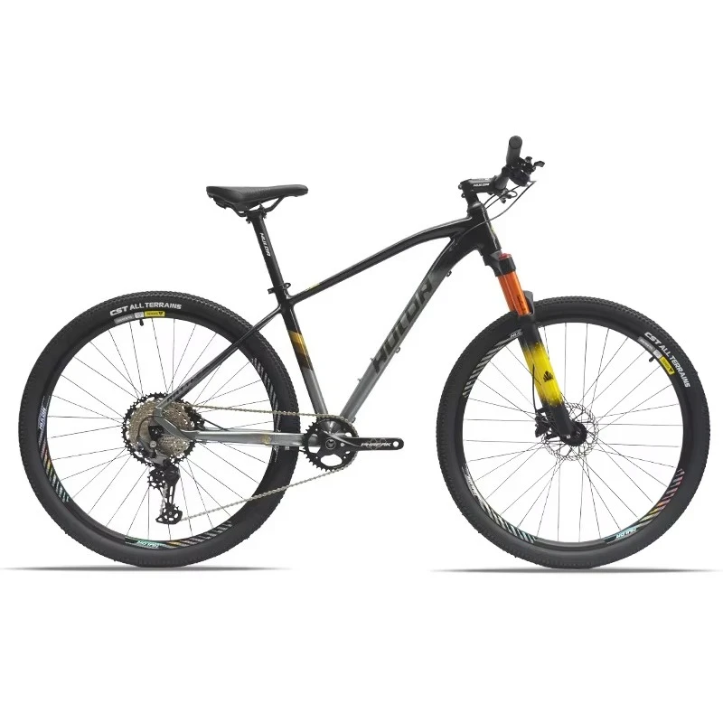 

Adult MTB Mountain Dual Disc Brakes Mountain Bicycle 29inch 12 Speed Gear Cycle for Man