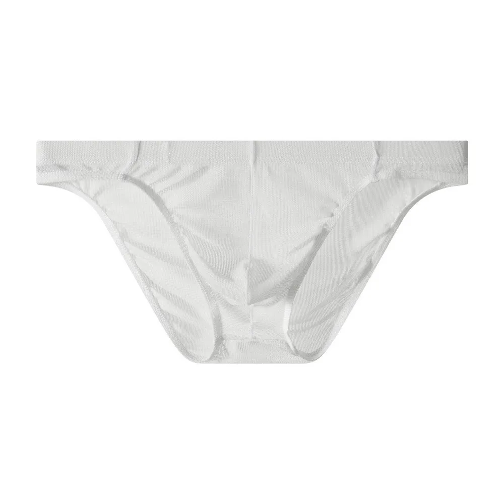 Fashion Lingerie Men Mesh Triangle Panties Low Waist Transparent Men Thin Briefs Breathable Thin Soft Underwear for Men Male