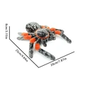 spider
