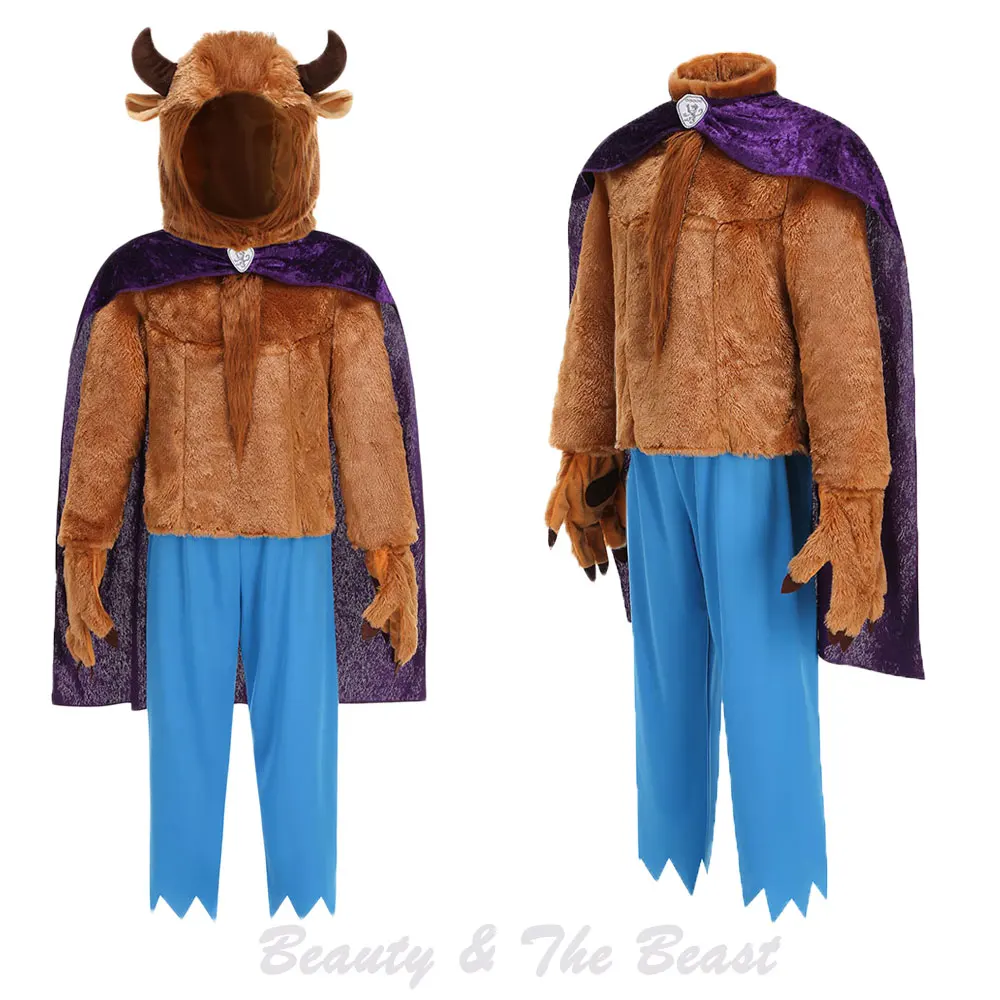 Carnival Phillip Frog Prince Boys Party Outfit Halloween Eric Cosplay Flynn Rider Medieval Knight Beast Prince Charming Costumes view 4