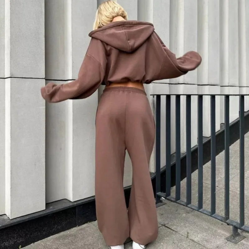 

2025 New Women's Solid Color Zip-Up Drawstring Hoodie & Elastic Waist Sweatpants Two-Piece Lounge Set Comfy Casual Tracksuit