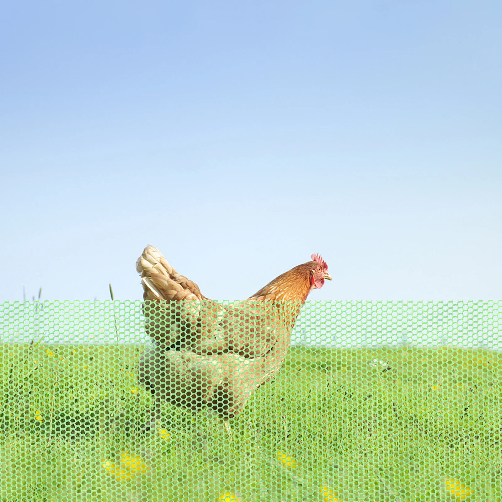 مجموعة واحدة من سياج الحديقة، شبكة بلاستيكية متينة ومرنة وخفيفة الوزن وسهلة التركيب، شبكة حماية من الفاكهة والخضروات على شكل حيوان