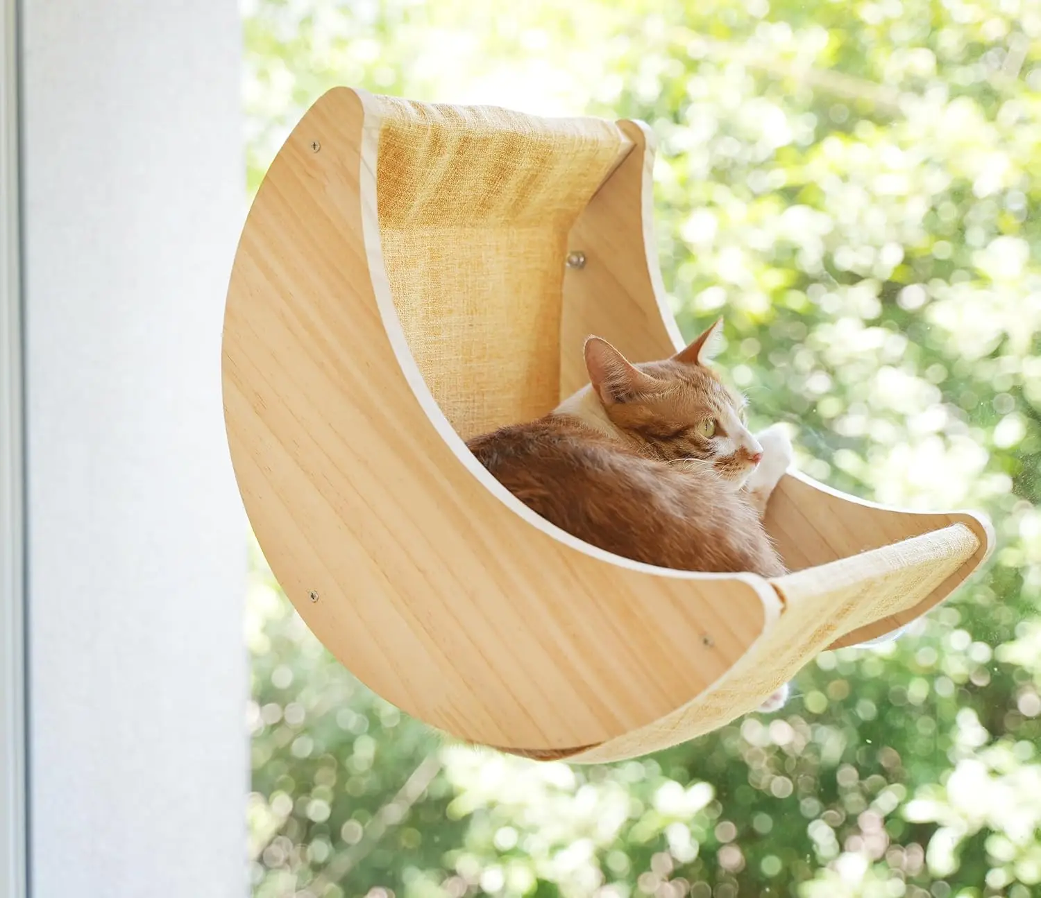 Window Cat Beds for Indoor Cats Perches Moon Shelves Mounted with Strong Suction Cups