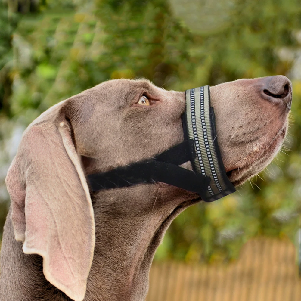 Weimaraner Reflective Dog Tactical Masks for Medium Large Dogs Labrador Type 7 Semi Closed Pet Mouth Cover Big Dog Accessories