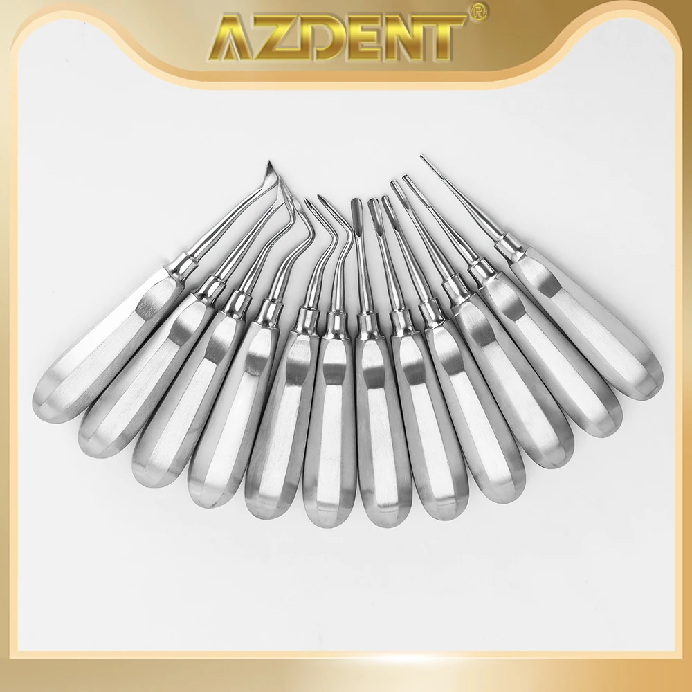 12pcs/Pack Azdent Dental Stainless Elevator Minimally Invasive Tools Loosening Root Extraction Hollow Handle