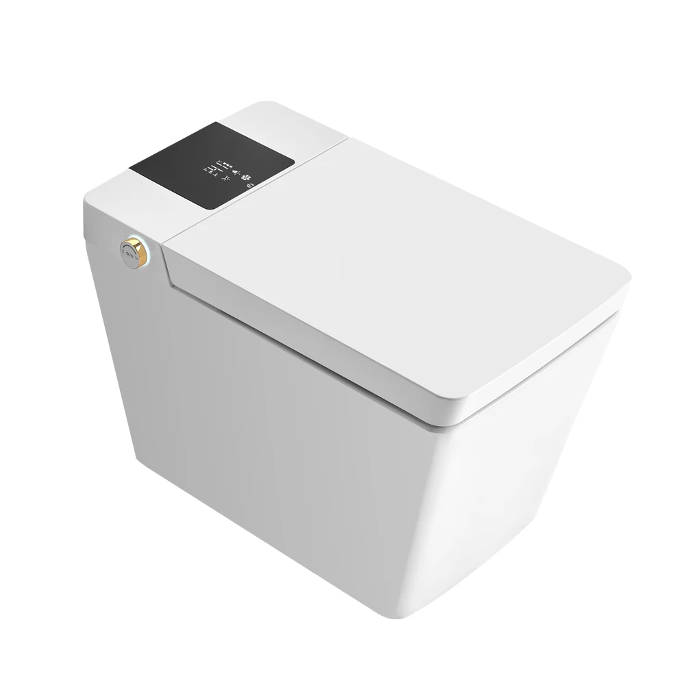 

High Quality Luxury White Ceramic Smart Toilet With Bidet Function