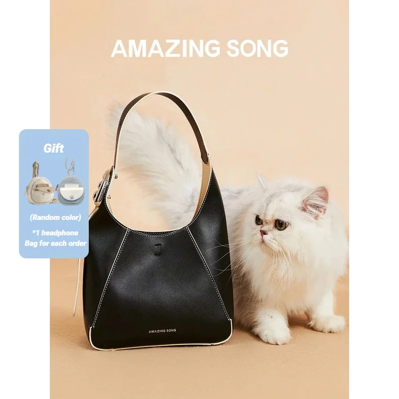 

Удивительная песня плоская сумка-мешок