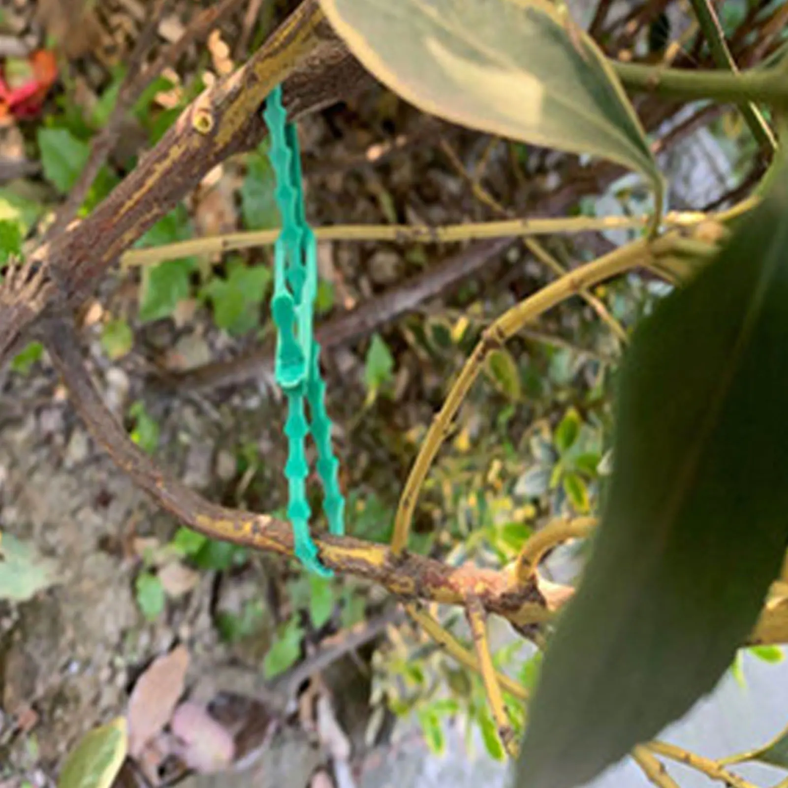 Adjustable Plastic Plant Ties Adjustable Securing Plants Vine Ties for Green Plants and Shrubs