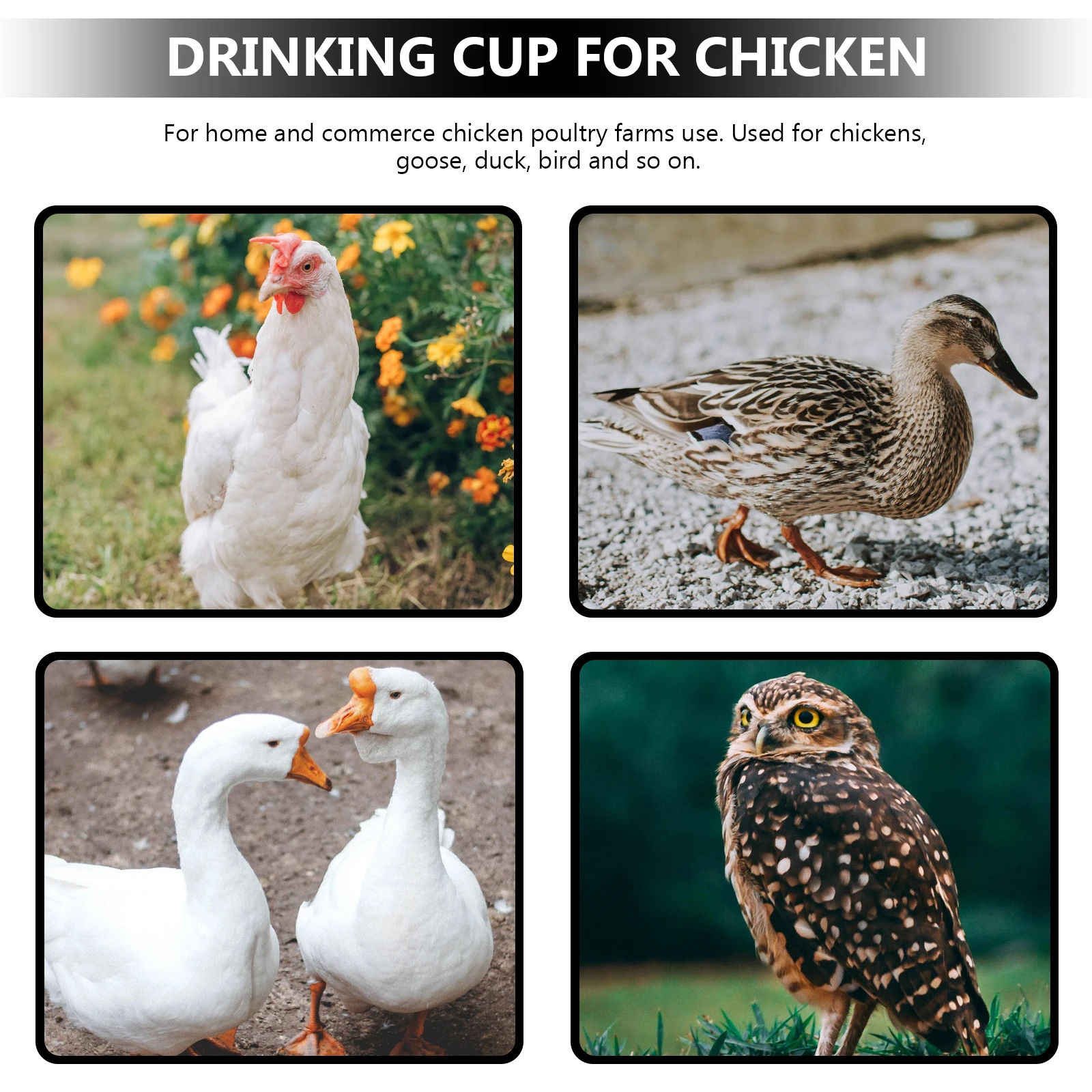 

4 Pcs Automatic Drinking Fountain Chicken Waterer Bird Cage Dispenser Cup Feeder Drinker Poultry
