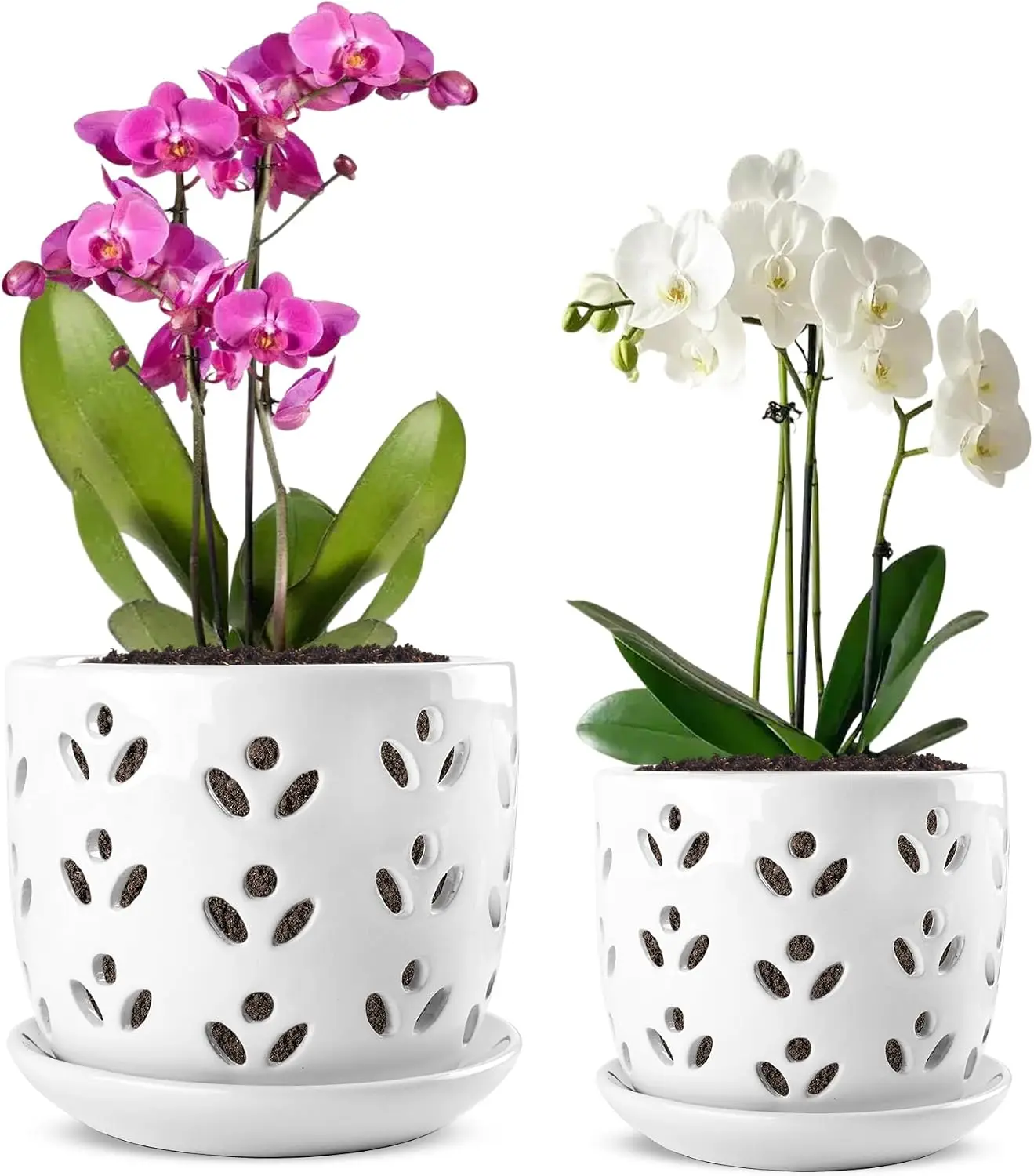 Orchid Pot, 2 Pack Orchid Pots with Drainage Holes and Saucer, 6 Inch and 5 Inch Large Ceramic Planter, Good Air Circulation, White