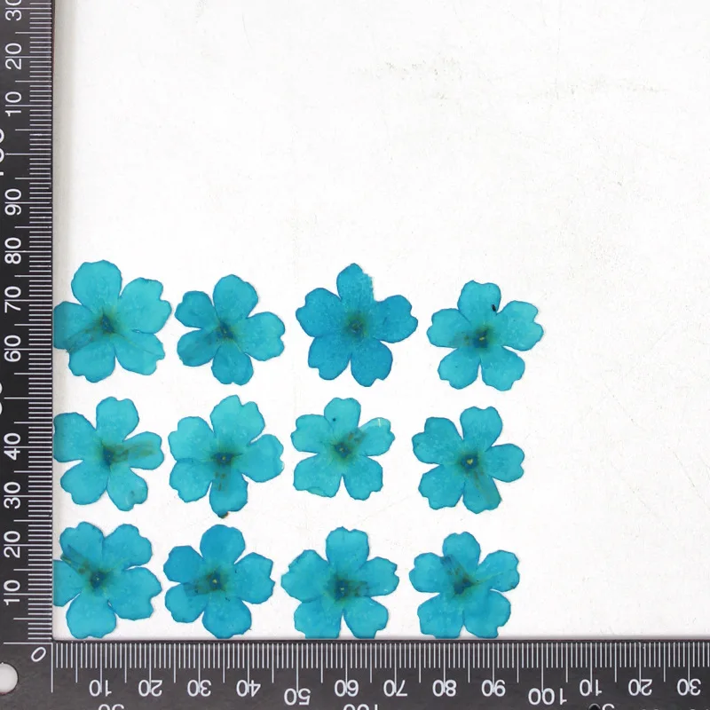 12 Stück, echte getrocknete Blumen, Prägematerialien, DIY-Zubehör für Epoxidharz, für Handyhüllen, Nagelkunst, Gesichtsaufkleber, handgefertigte Dekoration – Detail 10