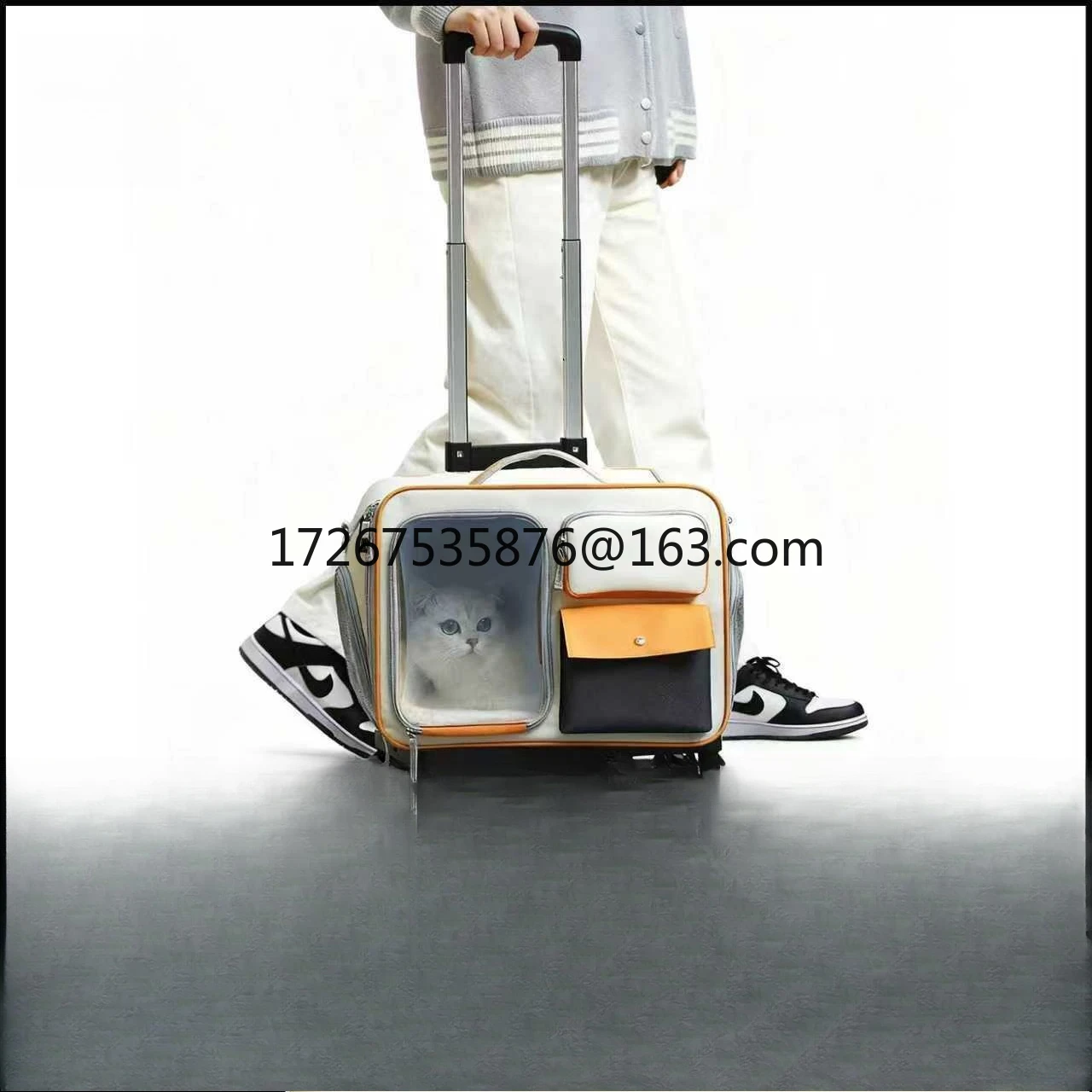 : Переноски и сумки для собак