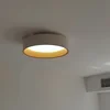 Luz de techo circular LED nórdica, sala de estar, comedor, balcón, dormitorio dual, decoración del hogar, accesorios de iluminación interior 3