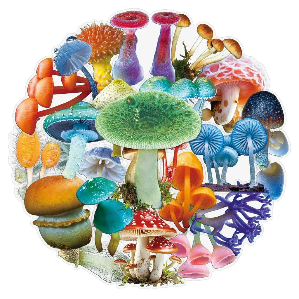 50Pcs Realistic Mushroom PET Transparent Stickers Waterproof Fungi Art Decals for Luggage Fridge Decor Giajar Sticker Store