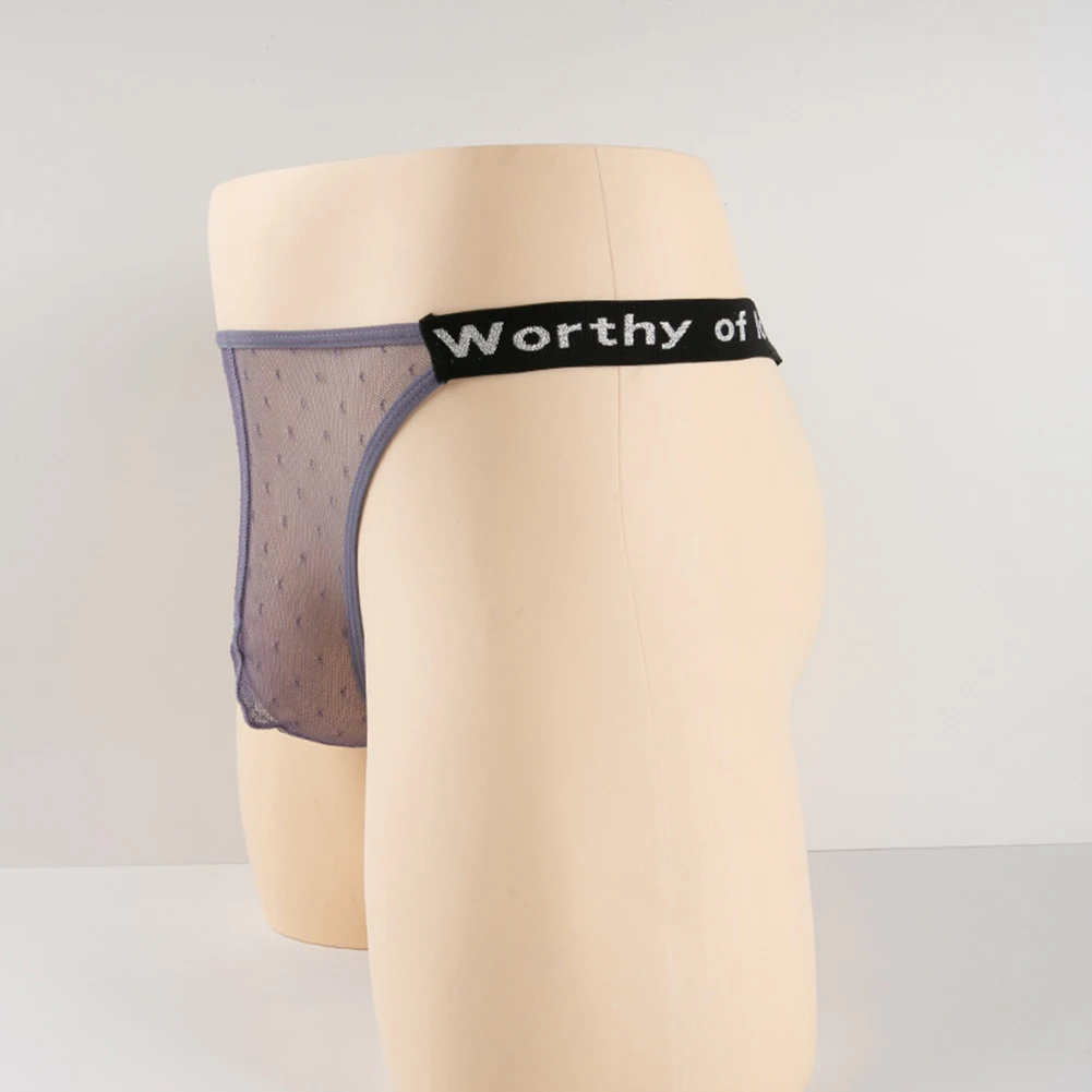 

Men Mesh Underwear Quick Dry See Through Briefs High See Through Elastic Ultra-Thin Low Waist Soft Men's Panties Underpants Men