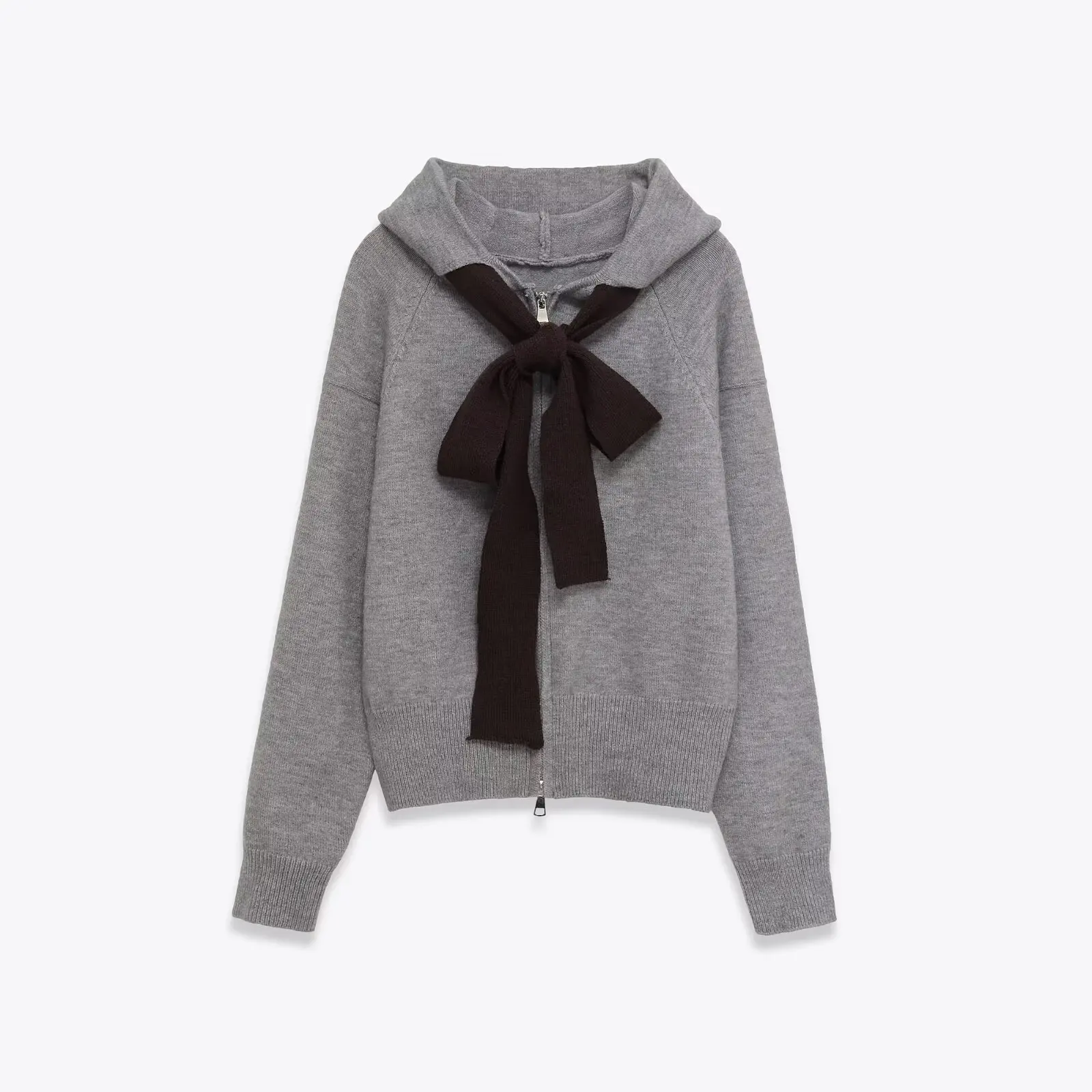 

European and American style autumn new hooded sweater early autumn Japanese style college style age-reducing sweater