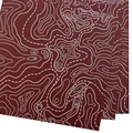 Topographic 3
