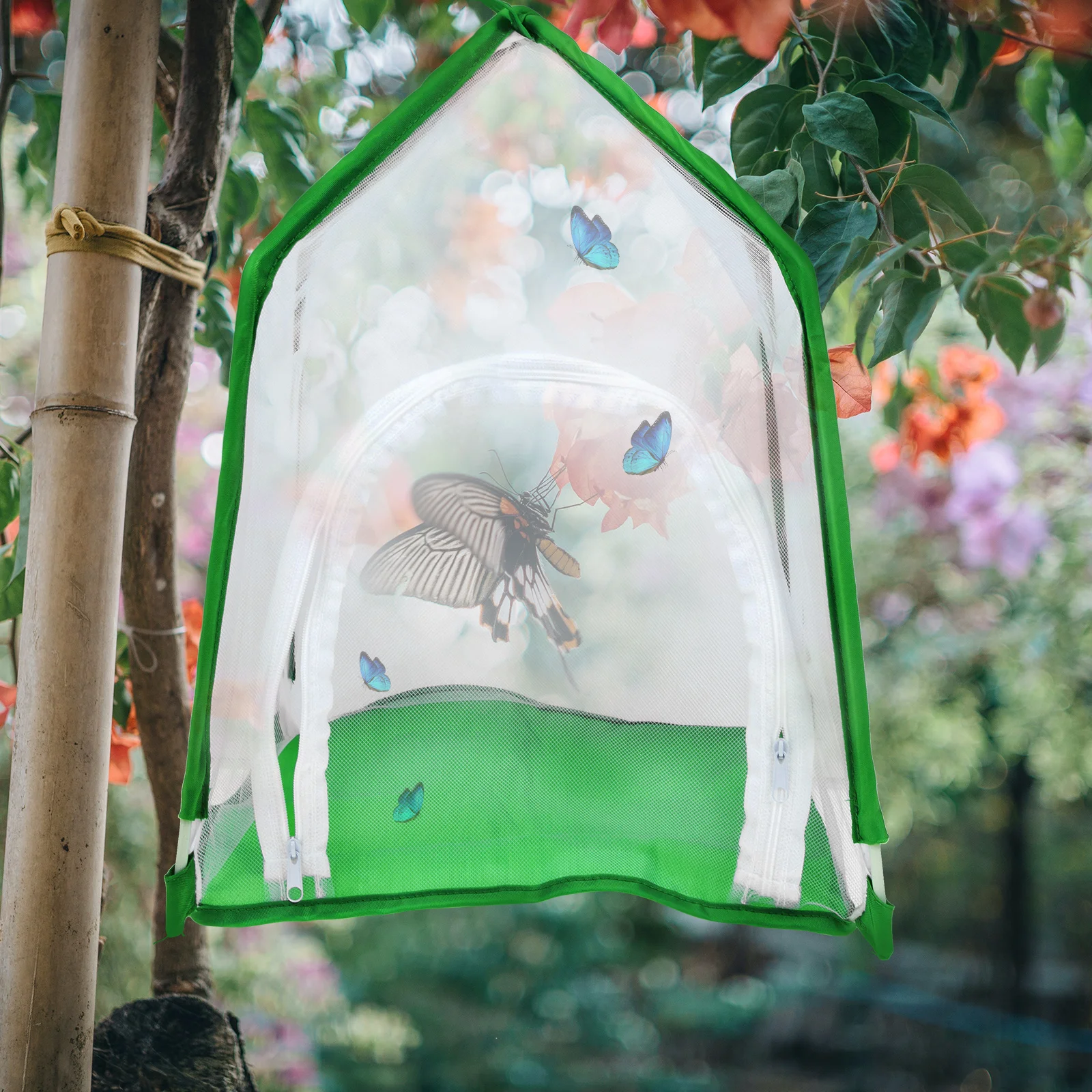 

Insect Cage Butterfly Habitat Enclosure Visible Breathable Mesh Design Observation Rearing Container for Bees Ladybugs Outdoor