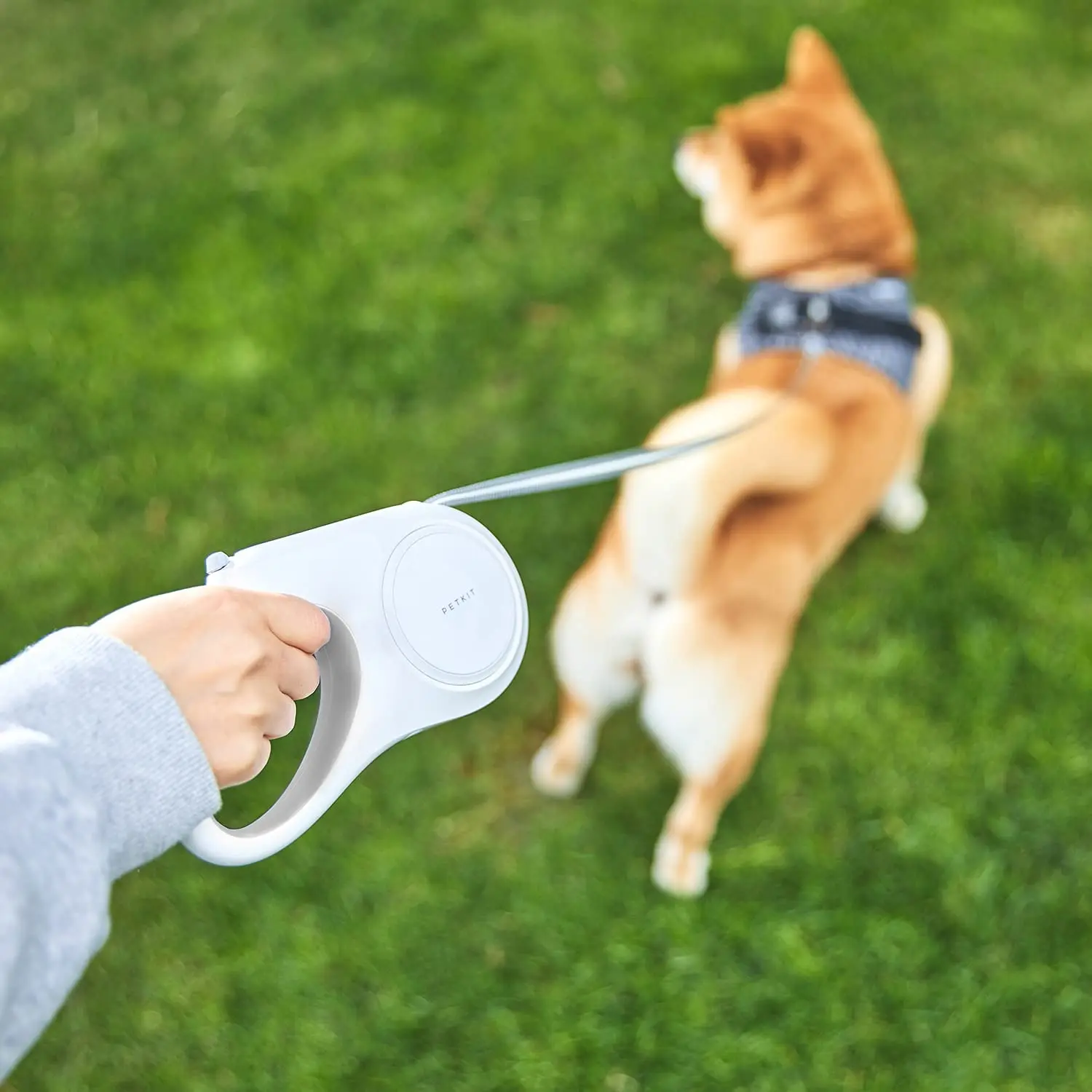 PETKIT Non-tangled Retractable Dog and Cat Pet Belt with Non-slip Handle 3m Strong Nylon Belt view 6