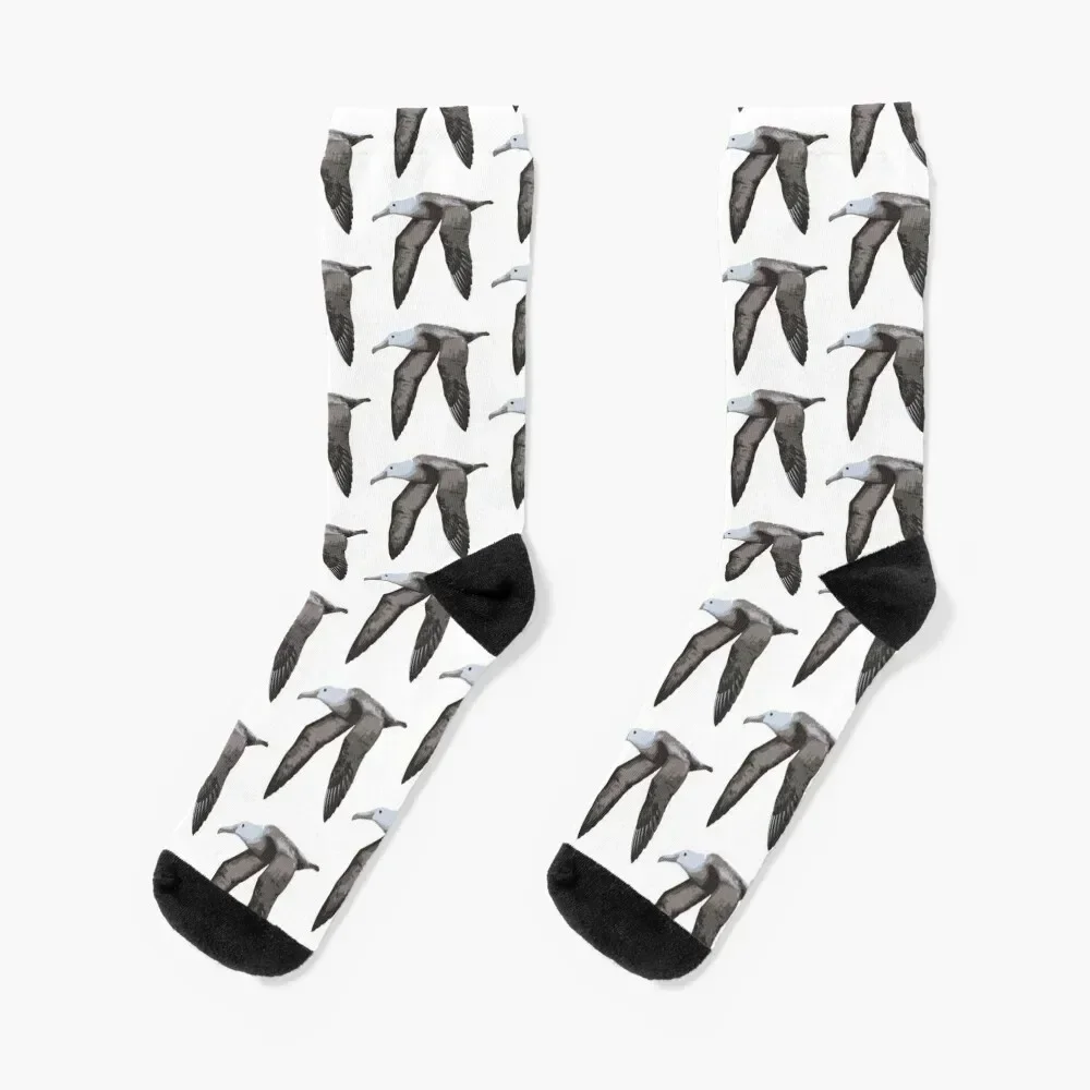

Albatross Socks heated colored cotton gym Men Socks Luxury Brand Women's