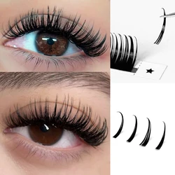 Abonnie Wet Lashes Cosplay Eyelash Extensions 0.07mm Silk Spikes Lashes Manga Wispy Premade Russian A Shape Natural Eyelashes