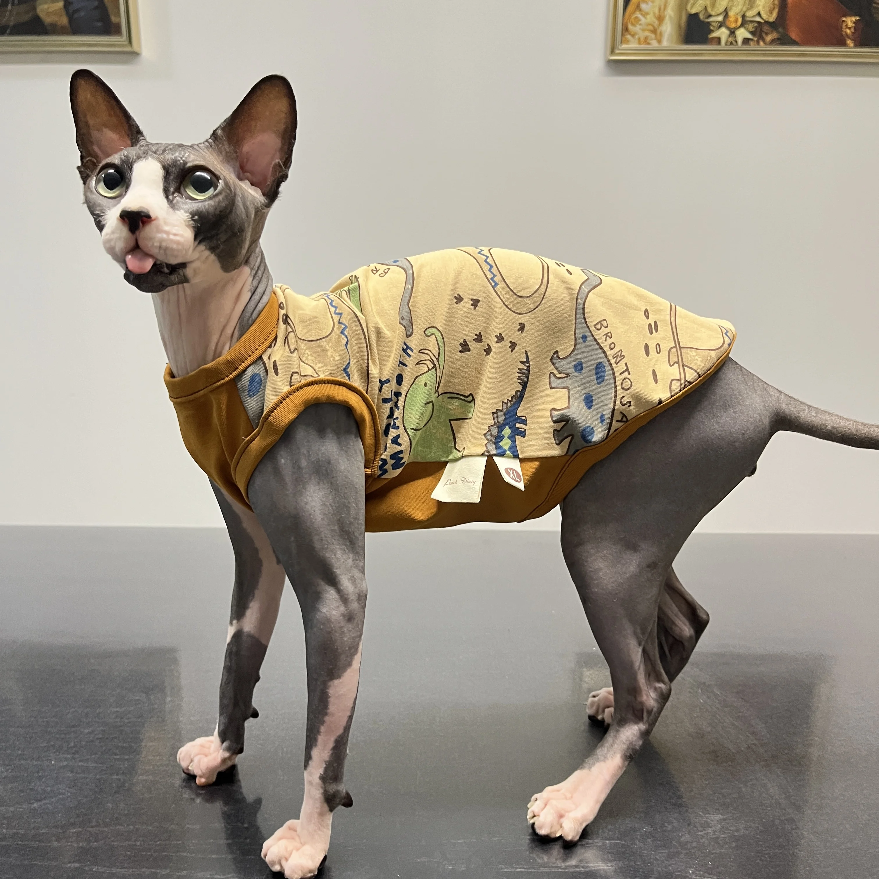 Cat clothing For Sphnx Cotton Vest Dinosaur Summer Spring Shirt for Devon Rex Cartoon Coat Jumpsuit For kittens Dog Cat Supplies