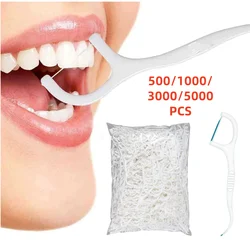 202417-500/1000pcs Ultra-Fine Toothpicks, Home Set, Portable and Disposable Care Floss- Deep Cleaning for Oral Care