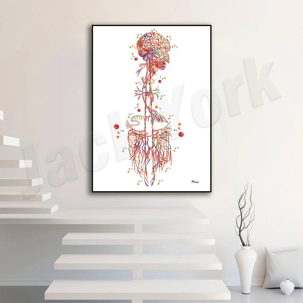 

Vagus Nerve Medical Poster, Neuroanatomy Cranial Nerve X Watercolor CN X Parasympathetic Nervous System Medical Clinic Decoratio