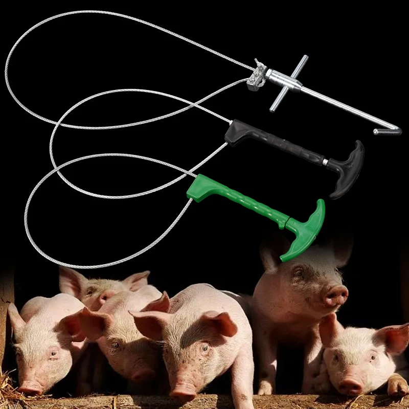 1 unidad de conjunto de sujeción para cerdos, incluye cuerda de sujeción para cerdos, funda para cuerdas, herramienta para ganadería, conjunto de sujeción bucal para animales domésticos, equipo veterinario