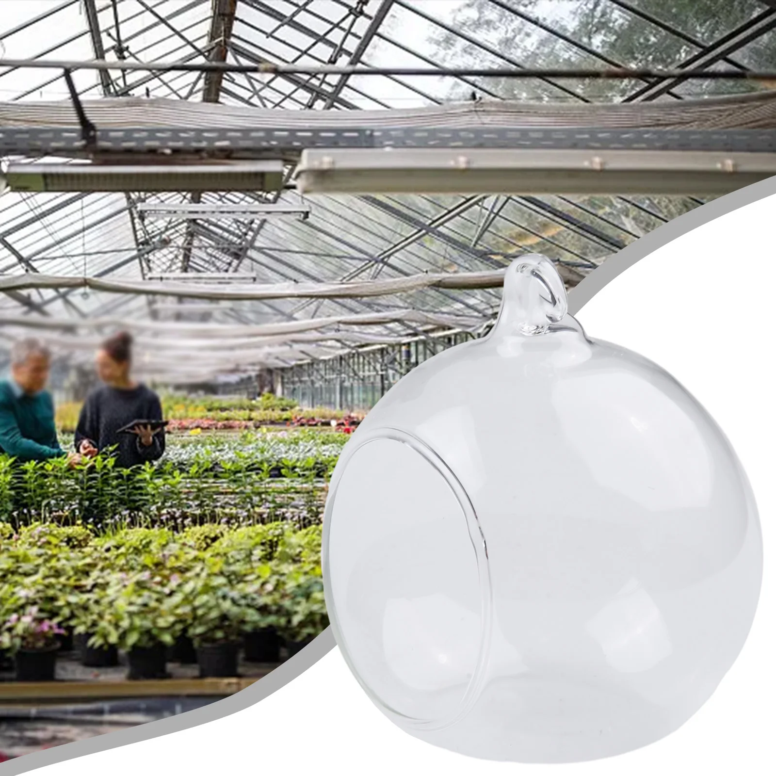 Clear Glass Ball Vase for Succulent Terrariums Hanging Container with Flat Bottom and Hanging Hole for Display