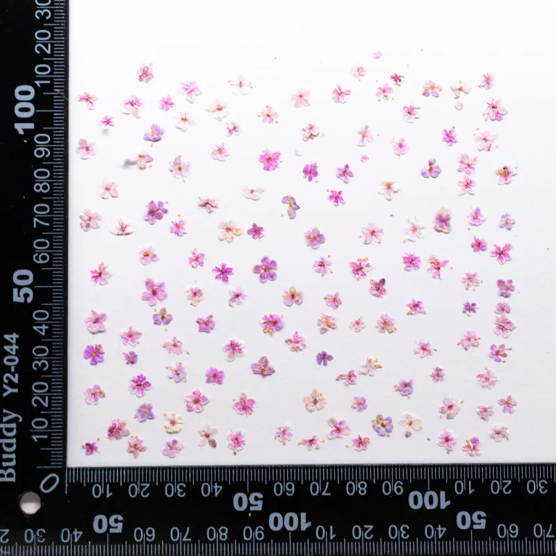 24 Stück, gepresste blaue Trockenblumen aus Spitze für DIY-Harzschmuck, Lesezeichen, Grußkarten, Scrapbooking, Aromatherapie, Kerzen, Bastelzubehör – Detail 12