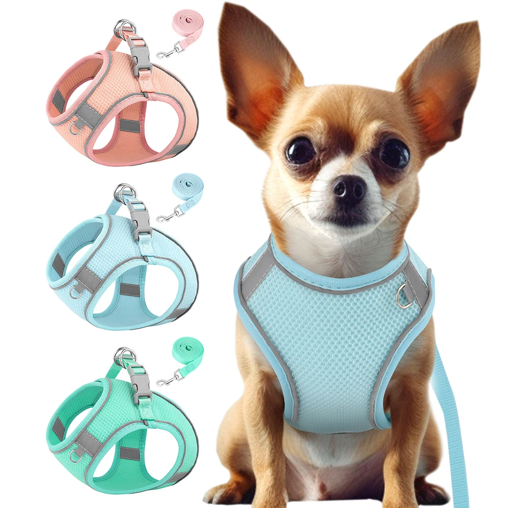 Nylon Dog Harness Vest and Leash Set Puppy Cat Summer Mesh Harness Reflective Adjustable for Small Medium Dogs Cats Chihuahua