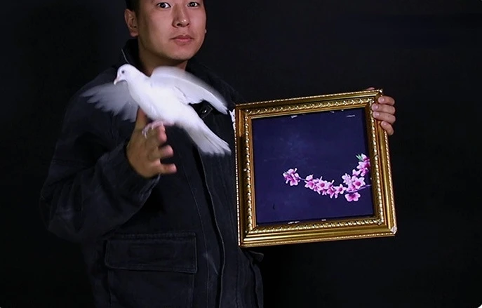 Deluxe Dove Frame Dove Picture Chang Color To Real Dove Stage Magic Tricks Double Change Magic Props Party Magic Show Comedy Toy