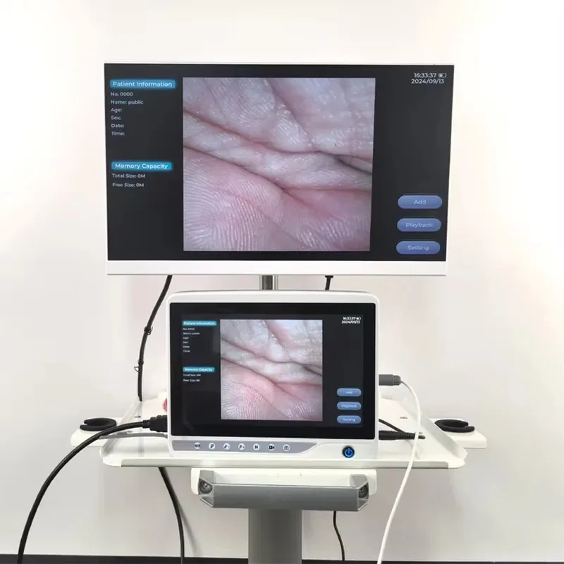 Sale Wholesale Advanced Machine Gastroscope Colonoscope Veterinary Dog for Pet Hospital