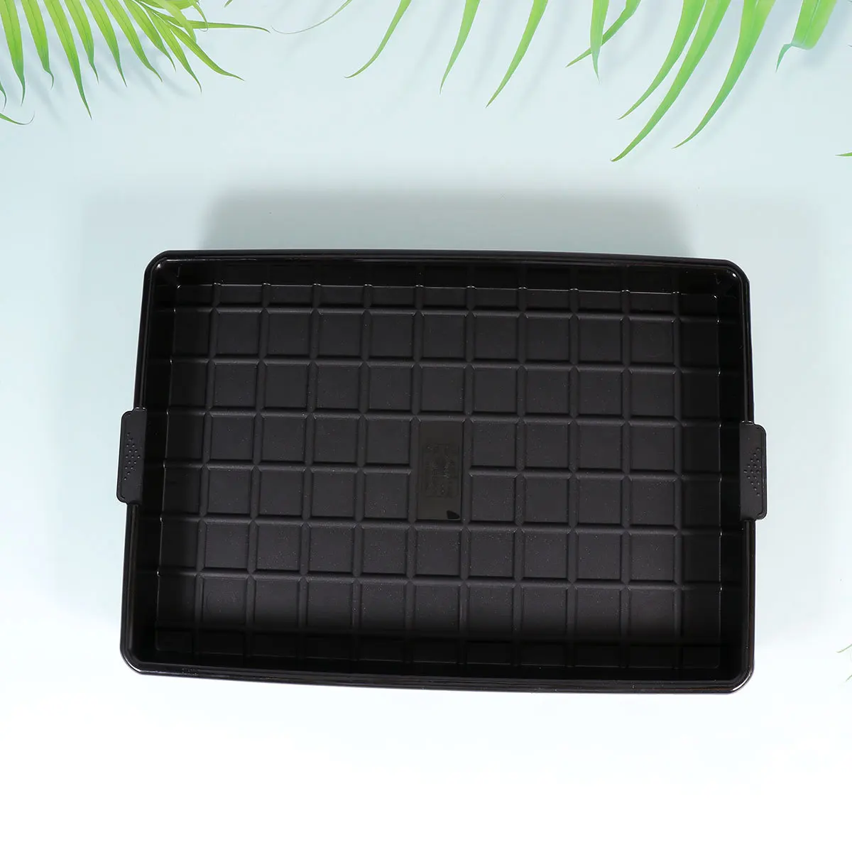 

2Pcs Flower Pot Tray Plastic Plant Pot Saucers for Succulent Plants Bonsai Moisture Retention Surface Protection Tray Black