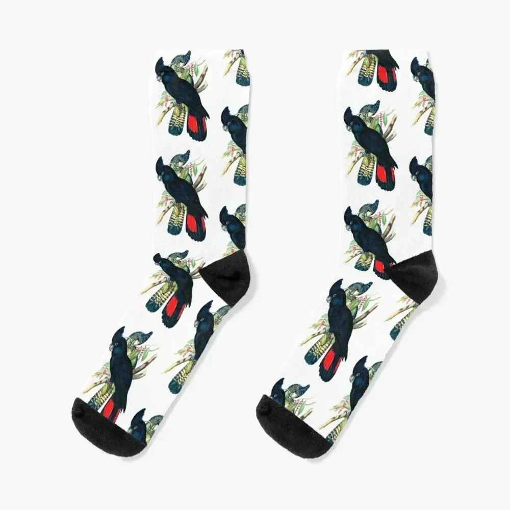 

Australian Banksian Black Cockatoo Socks cartoon winter gifts Socks Men Women's