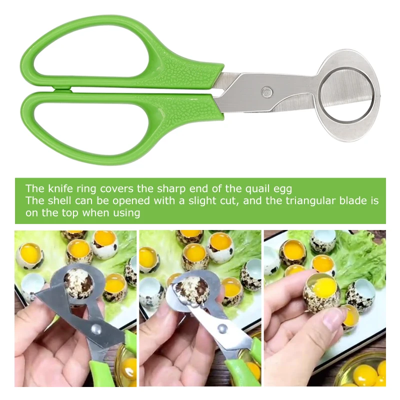 5 Pcs Stainless Steel Quail Egg Cutter Scissors Pigeon Bird Quail Egg Cutter Opener Cracker Kitchen Clipper Tool Farm supplies