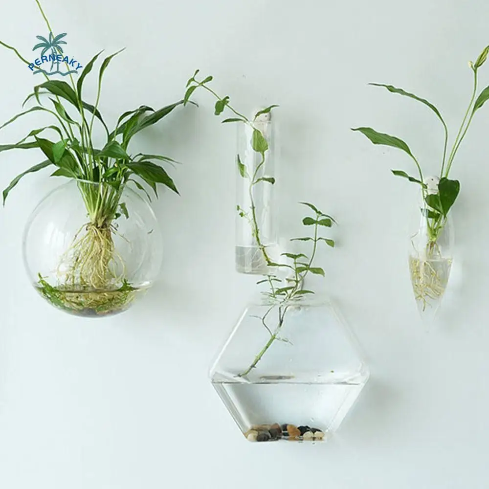 

Shape Glass Crafts Home Decorations Fish Tank Hydroponic Plants Flower Vase Plant Container Hydroponic Vase Flower Pot