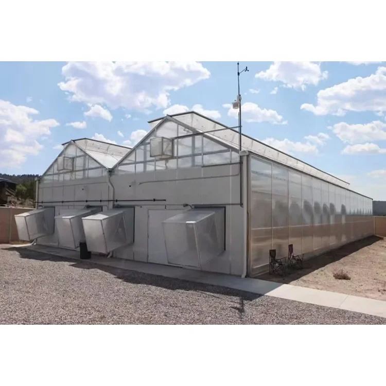 

2025Новое поступление, сильная ветростойкость, зеленый дом, многопозиционная теплица из закаленного стекла, сворачивающаяся для органического сельского хозяйства